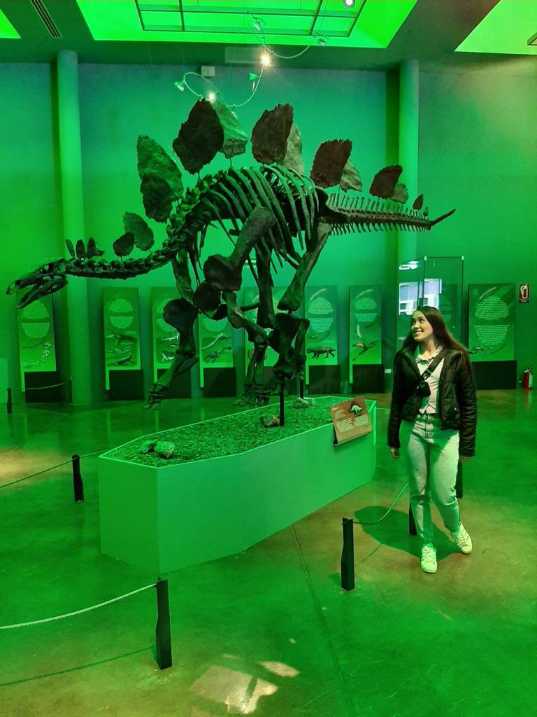 El T-Rex y otros dinosaurios que vivieron en Chihuahua - El Heraldo de  Chihuahua | Noticias Locales, Policiacas, de México, Chihuahua y el Mundo