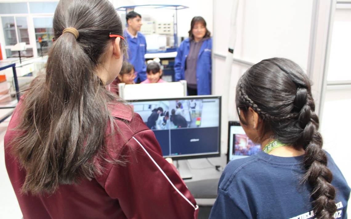 80 élèves du primaire participent à la Journée de la science et de la technologie – El Heraldo de Chihuahua