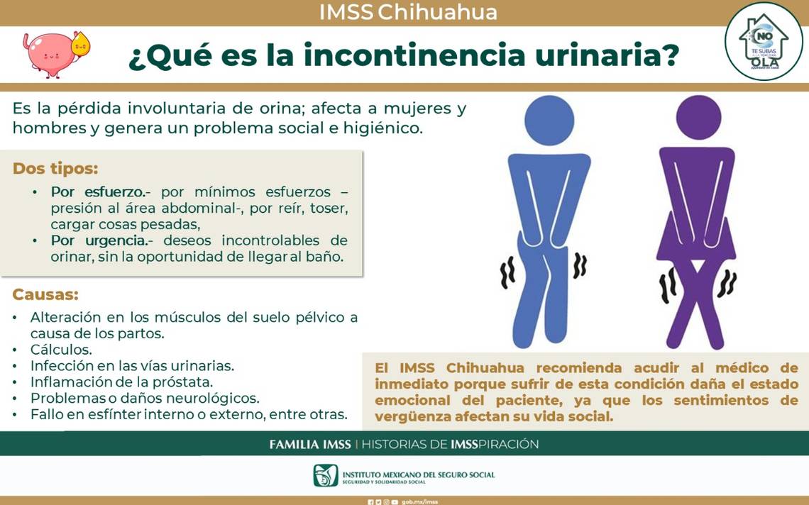 Incontinencia urinaria - Qué es, causas, tipos de incontinencia y