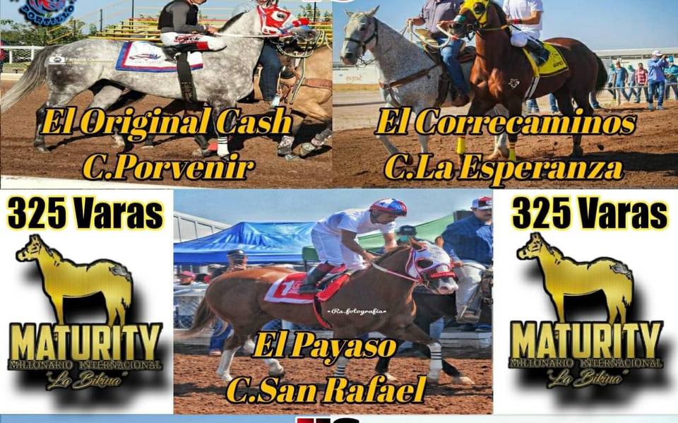 Todo listo para las semifinales del Maturity Millonario “La Bikina” satevo  carrera caballos - El Heraldo de Chihuahua | Noticias Locales, Policiacas,  de México, Chihuahua y el Mundo