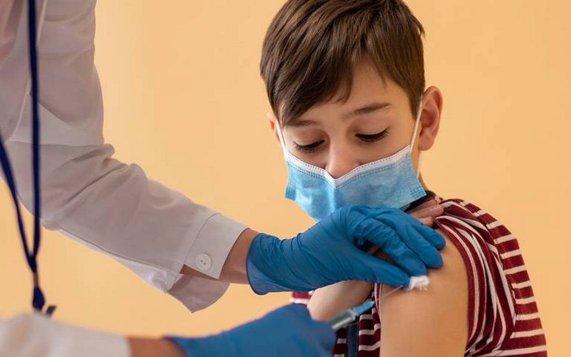 L’application du vaccin hexavalent commence pour les enfants âgés de 18 mois, 2, 6 et 8 ans – El Heraldo de Chihuahua