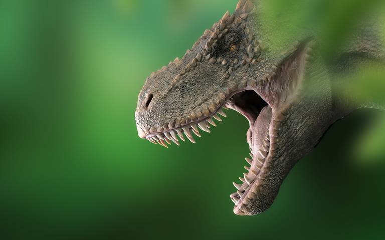 El T-Rex y otros dinosaurios que vivieron en Chihuahua - El Heraldo de  Chihuahua | Noticias Locales, Policiacas, de México, Chihuahua y el Mundo