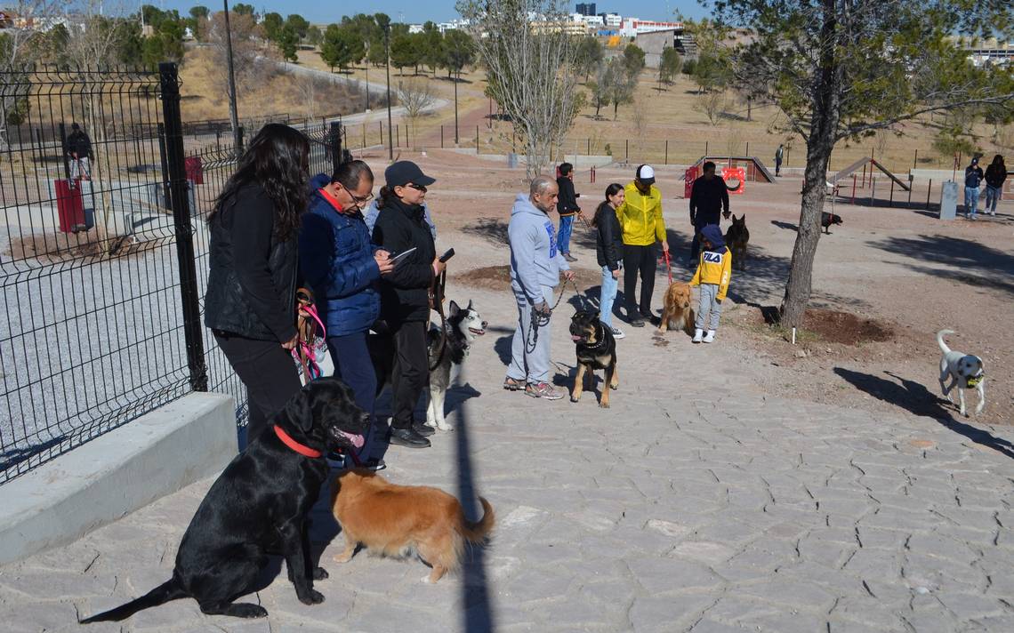 Petición · Parque para Perros en Munguia ·