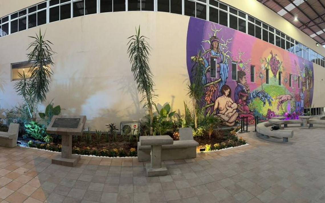 Faciatec instaluje tropikalny ogród na centralnym dziedzińcu starej uczelni medycznej – El Heraldo de Chihuahua