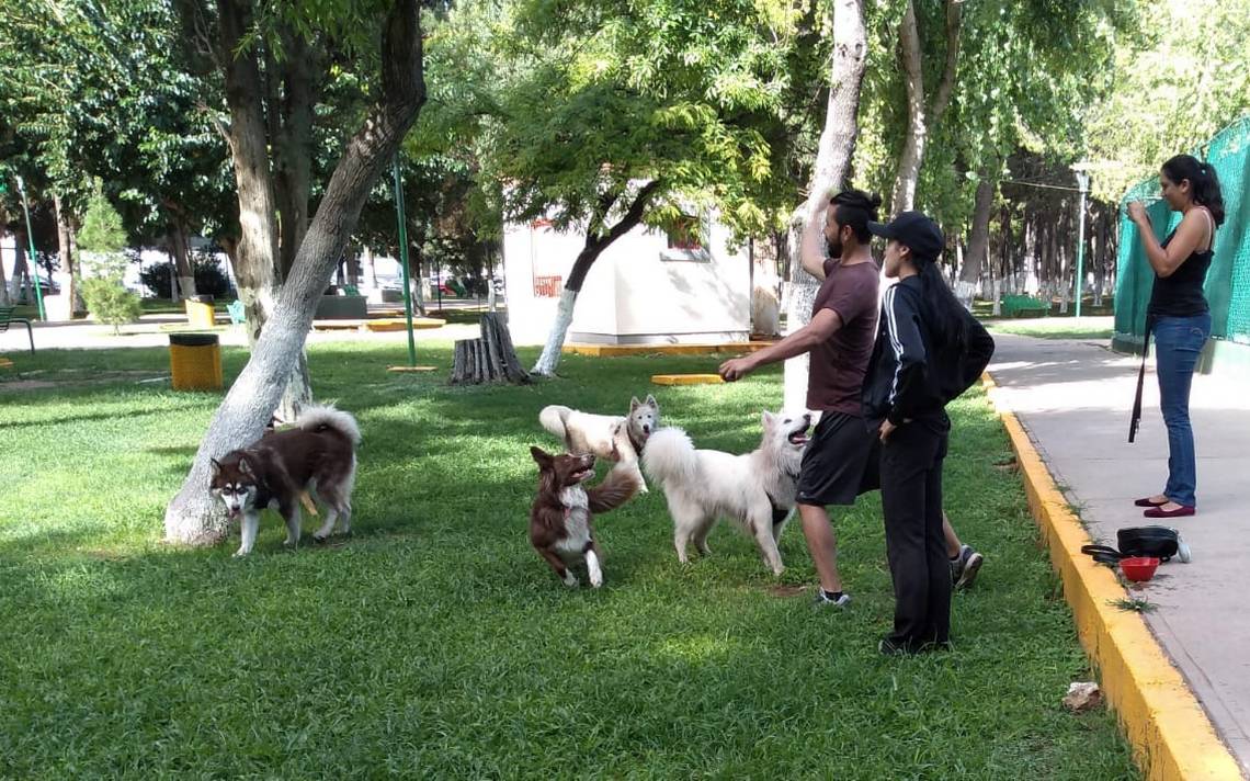 Prohibida la entrada de perros al parque de la Mayordomía.